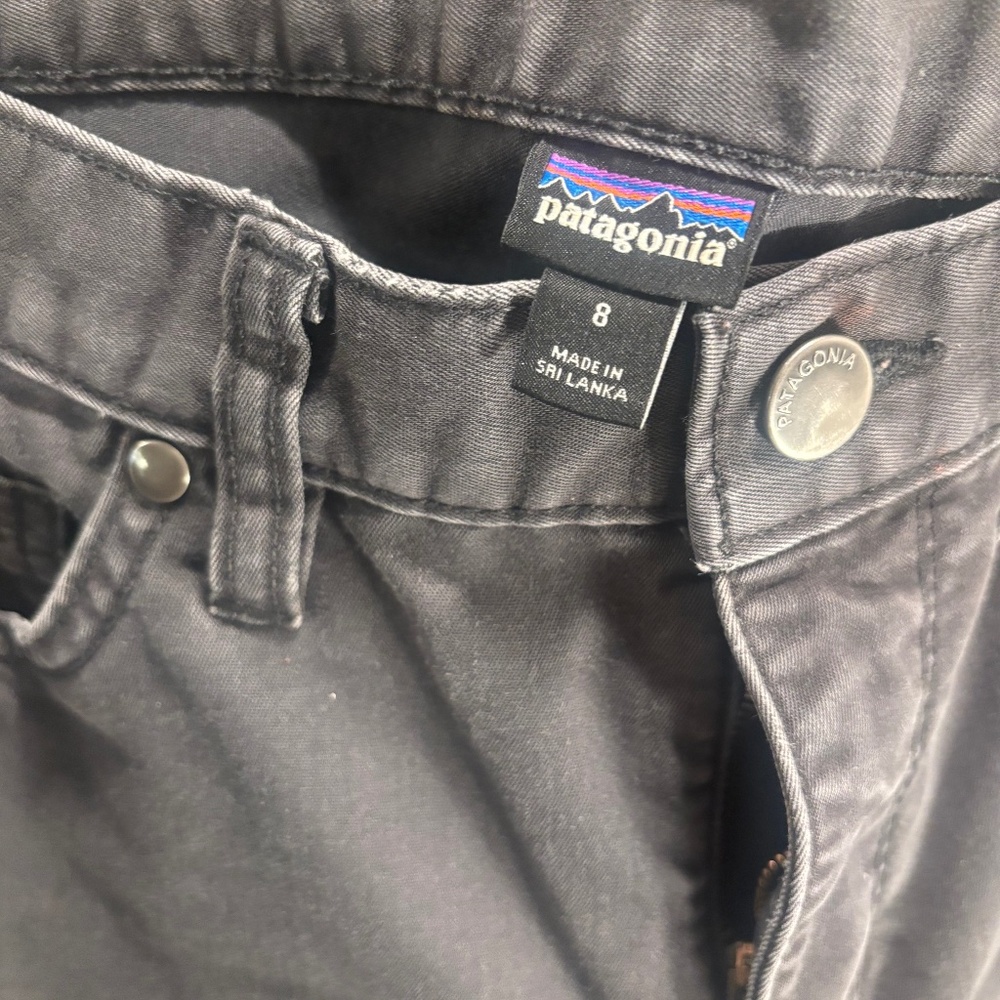 Patagonia pants